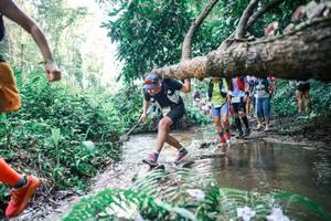 BIB: 
                            <button type="button" onclick="openModal(25464970)" class="btn btn-primary btn-sm float-right btn-popup" data-toggle="modal" data-target=".modal-high-quality">
                        <i class="fas fa-shopping-cart"></i> Add to Cart
                    </button>
                                            <button type="button" onclick="isThisMe(25464970, true)" class="btn btn-success btn-sm float-right btn-popup btn-isme hidden" data-toggle="tooltip" data-placement="bottom" title="นี่คือรูปของคุณใช่ไหม คลิกที่นี่เพื่อเอาเข้าอัลบั้ม">
                        <i class="fas fa-plus"></i> Add to album
                    </button>
                    <button type="button" onclick="isThisMe(25464970, false)" class="btn btn-warning btn-sm float-right btn-popup btn-isnotme hidden">
                        <i class="fas fa-ban"></i> Remove from album
                    </button>